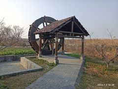 -同里国家湿地公园