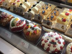 -卡滋贝诺动物奶油生日蛋糕(亚太潮尚店)