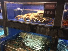水产区-徐记海鲜(陕西历史博物馆|明德门店)