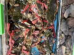 -龙溪海鲜酒家(溪涌店)