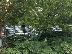 -龙门石窟-停车场