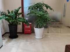 -中国建设银行(宜山路支行)