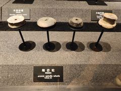 -河姆渡遗址博物馆