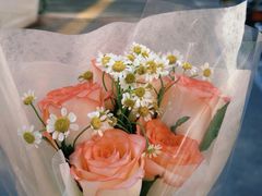 -九鼎铁刹山风景区