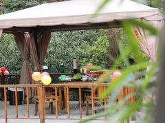 -二荆条·蜀鲜汇城市森林火锅