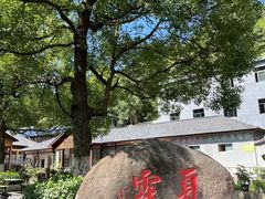 -夏霖九天银瀑风景区