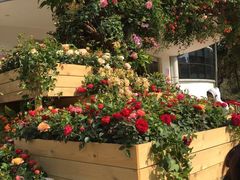 -人民公园(罗湖区)