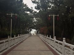 -林海公园