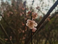 -草庵摩尼教遗址公园