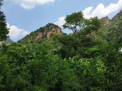 -大岭沟猕猴桃谷风景区