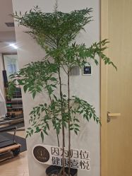 -归位瑜伽＆普拉提馆