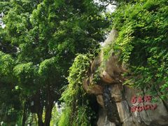 -九龙公园