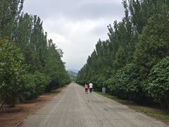 -乌素图国家森林公园