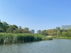 -大兴滨河森林公园