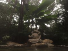 -天目湖涵田半山温泉