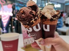 夏威夷果仁脆筒-哈根达斯(天河城店)