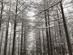 -秦岭风景区