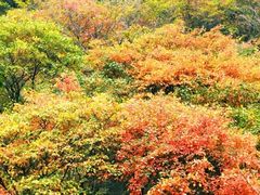 -青州市云门山风景区