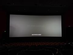 -AMG海上明珠影城(上海环球港RealDCinema店)