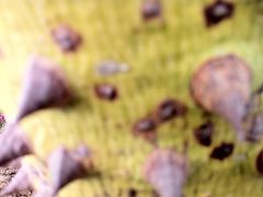 iphone_upload_pic-丹樱生态园