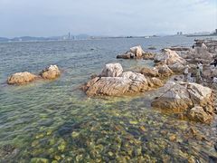 -养马岛旅游度假区