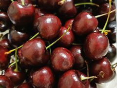 -堤口果品批发市场