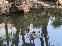 -龙华寺