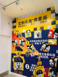 -乐高品牌旗舰店(人民广场店)