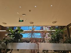 -Bco豆库(星耀天地店)