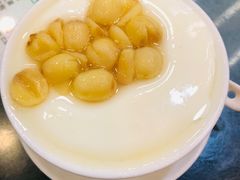 莲子双皮奶-义顺牛奶公司(庇利金街店)