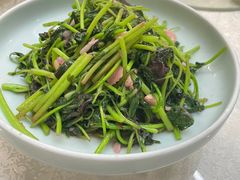 -洞庭家宴·头牌甲鱼(广渠门店)