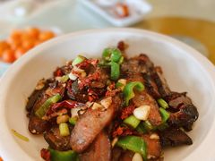 -椿记烧鹅(叠彩店)