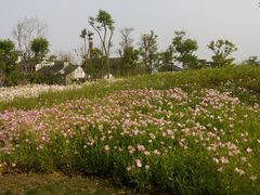 -尚贤河湿地
