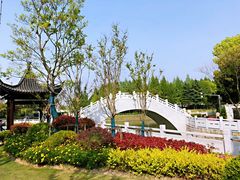 -嘉定紫藤园