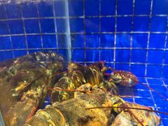 -乔家小院•本地小海鲜•非遗驴肉(万年泉路店)