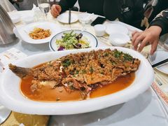红烧黄河大鲤鱼-松针蔡记蒸饺(花园路店)