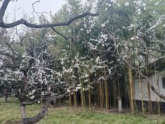 -宣武艺园