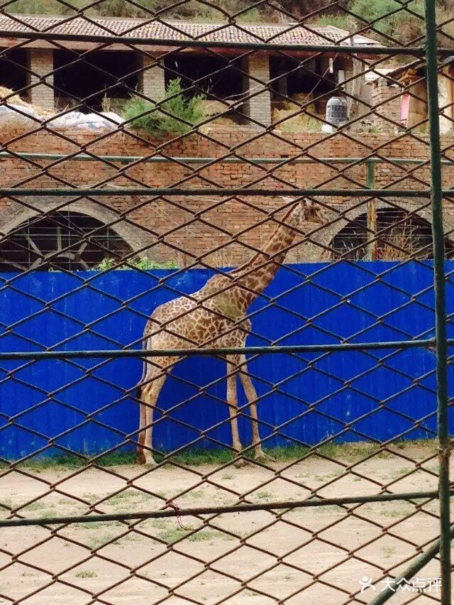 蘭州市動物園圖片 - 第103張