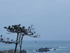 -青岛第三海水浴场
