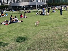 -栖露营camping·天幕烧烤·团建拓展·采摘营地