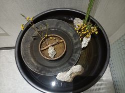 -铂诗玥医美