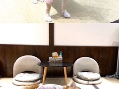 -逗柴咖啡屋·狗咖猫咖宠物桌游
