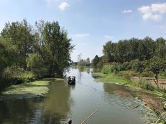 -溱湖国家湿地公园