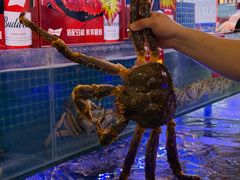 -驻海渔市(置信店)