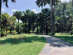 -中国科学院西双版纳热带植物园