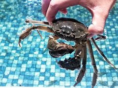 -嘻虾·钓虾工场(东莞总店)