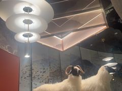 -百草滩羊清水涮羊肉·清真·宁夏盐池滩羊(莲花桥店)