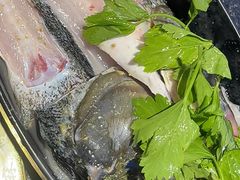 -匠岳·王宝器麻椒鱼(全国总店)