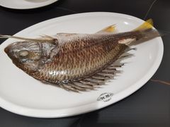 -吴记富苑(朝阳店)