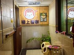 -楼上猫咖(罗湖店)